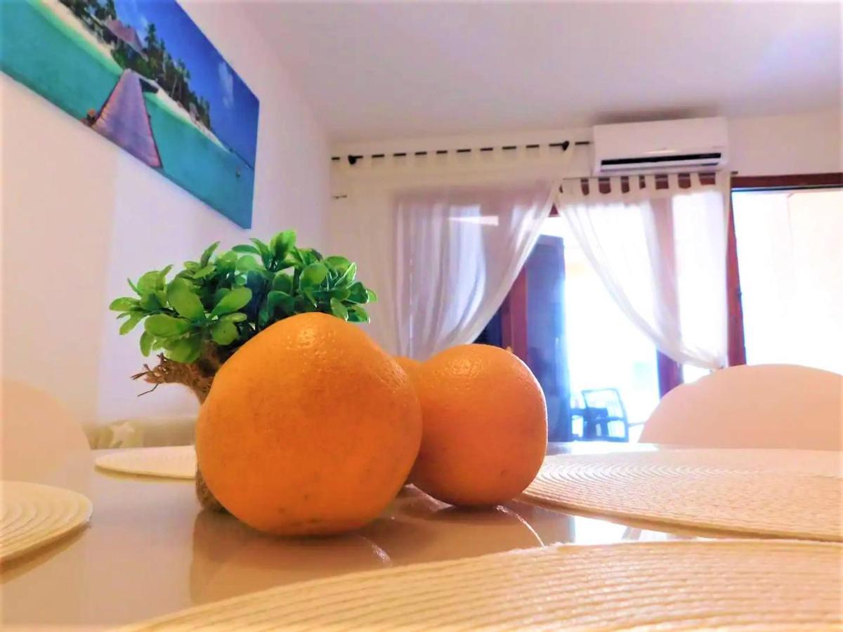 Tropical Playa Z Widokiem Na Morze, 400 M Do Plazy La Mata Beach トレビエハ エクステリア 写真