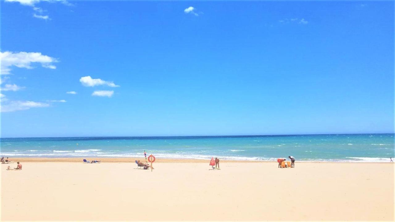 Tropical Playa Z Widokiem Na Morze, 400 M Do Plazy La Mata Beach トレビエハ エクステリア 写真